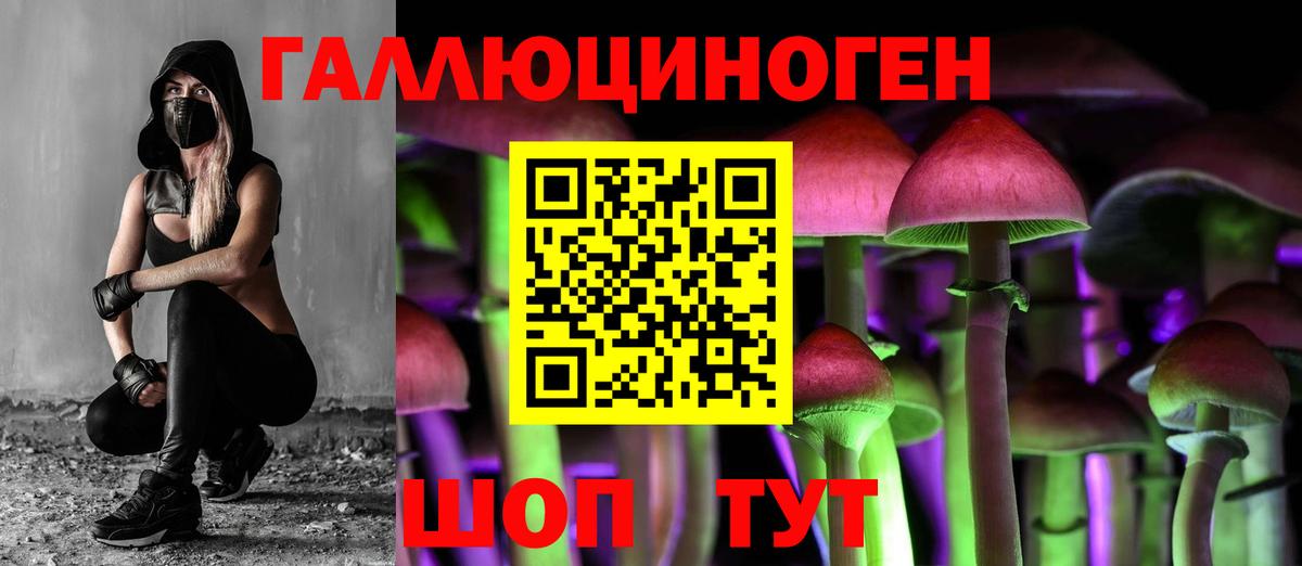 Галлюциногенные грибы мухоморы Мичуринск